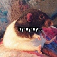 I’m just a girl на we.ua