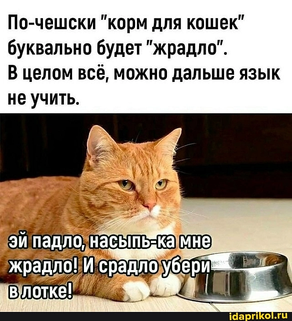 Володимир Новосьолов on we.ua