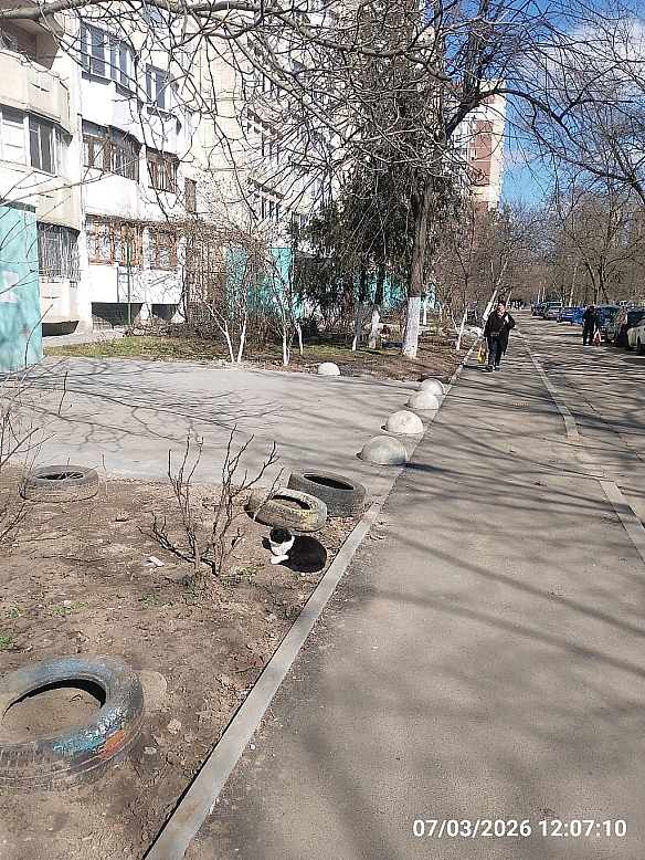 Весна - Володимир Новосьолов on we.ua