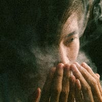 Luci Ferr на we.ua