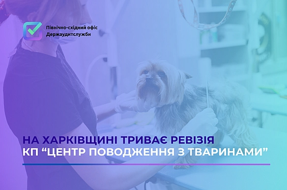 Держаудитслужба перевіряє «Центр поводження з тваринами» - Північно-східний офіс Держаудитслужби на weua.dev