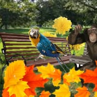 Тато(?!) на we.ua