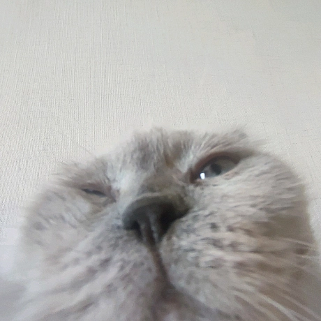 Всім привіт! Я новий блогер на we:ua. Мене звати Тимофій, мені 13 років та тут ви побачите моє життя. Буду радий кожному підпи... - Тимофій Веселовський on we.ua