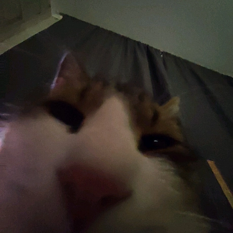 Всім привіт! Я новий блогер на we:ua. Мене звати Тимофій, мені 13 років та тут ви побачите моє життя. Буду радий кожному підпи... - Тимофій Веселовський on we.ua