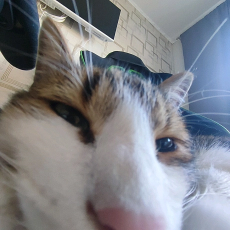 Всім привіт! Я новий блогер на we:ua. Мене звати Тимофій, мені 13 років та тут ви побачите моє життя. Буду радий кожному підпи... - Тимофій Веселовський on we.ua