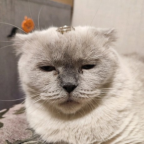 Всім привіт! Я новий блогер на we:ua. Мене звати Тимофій, мені 13 років та тут ви побачите моє життя. Буду радий кожному підпи... - Тимофій Веселовський on we.ua