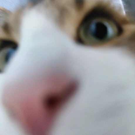 Всім привіт! Я новий блогер на we:ua. Мене звати Тимофій, мені 13 років та тут ви побачите моє життя. Буду радий кожному підпи... - Тимофій Веселовський on we.ua