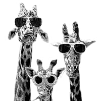 Stanislav на we.ua