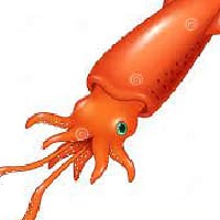 Гліб Клименко на we.ua