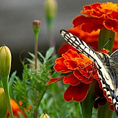 Всеволод Паталаха на we.ua