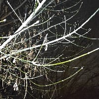 Данило Хвіта на we.ua