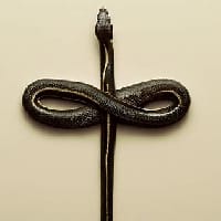 А ти що скажеш? на we.ua