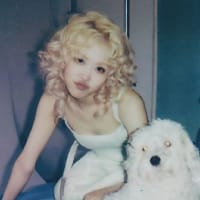 дід шишка на we.ua