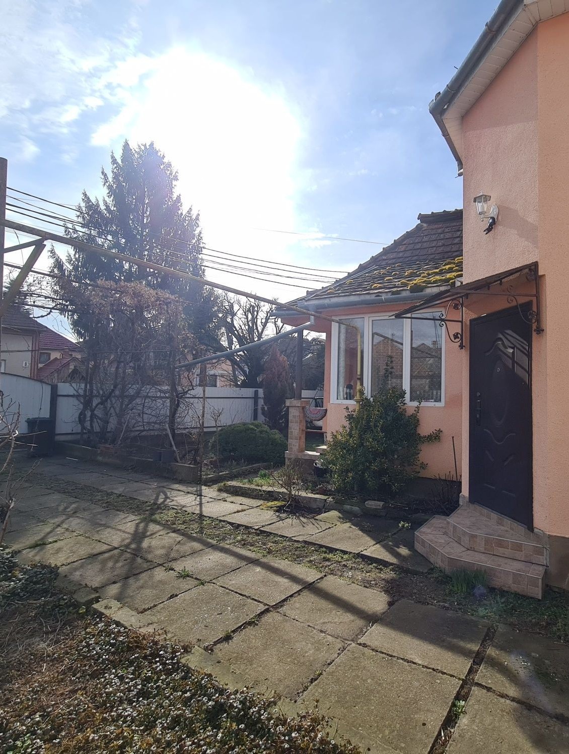 Послуги в інші послуги в Береговому за 350 грн