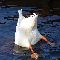 Нотатки юного інженера на we.ua