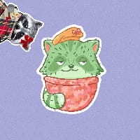 Єнот з клавіатурою на we.ua