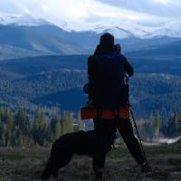 Viva la Kuki на we.ua