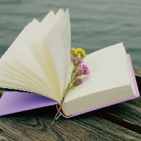 Дмитро Кам'яний на we.ua