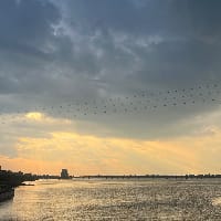 crypto_informator на we.ua