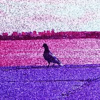 Іриней Голуб на we.ua