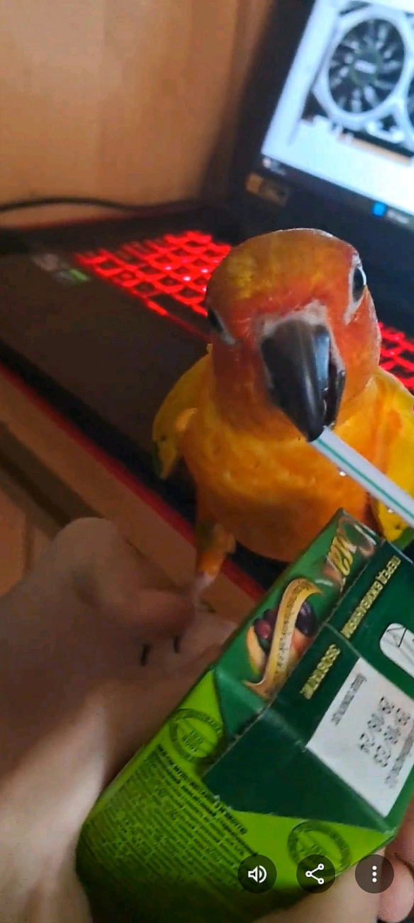 Василь Михайлович on we.ua