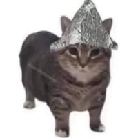 Королева Курйозів на we.ua