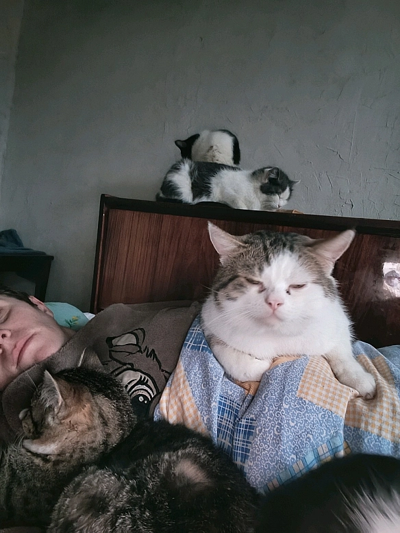 🐾 Благаю про підтримку мого притулку 🐾Дайте шанс моїм тваринам просто вижити в цьому світі. Вони вже давно зі мною. У кожног... - Анна Янковая on we.ua