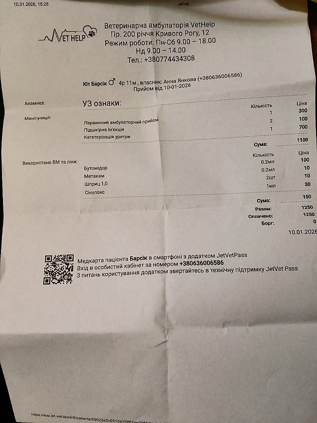 🐾 Терміново потрібна допомога! Друзі, звертаюся до всіх небайдужих. У моєму притулку захворів котик Барсік, йому лише 5 років.... - Анна Янковая on we.ua