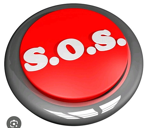 🚨 SOS! Мій притулок зникає з поля зору… Хворі тварини залишаються без допомоги. Мені потрібна ваша підтримка, щоб врятувати їх... - Анна Янковая on we.ua