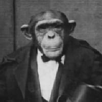 Олександр Костянтинович на we.ua