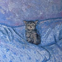 Ліанка на we.ua