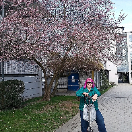 Olena Rusina на we.ua